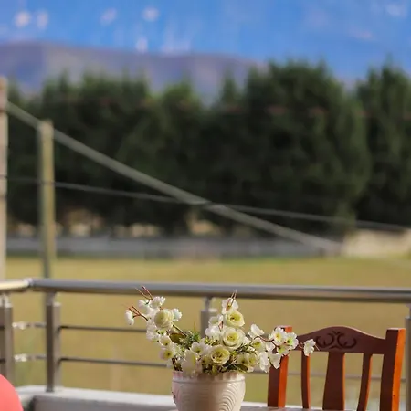 Allkushi アパート *