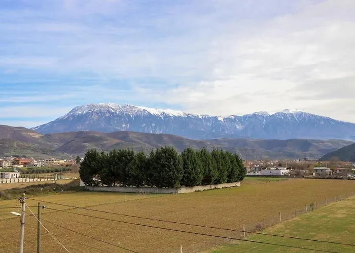 Apartament Allkushi *