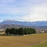 Appartement Allkushi *