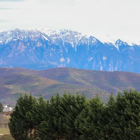 Appartement Allkushi *