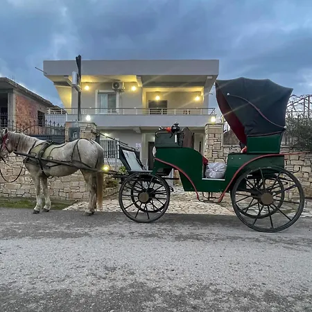 Appartement Allkushi